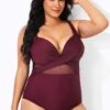 Wine Cut Out Mesh Fashion One Piece Swimsuit -Maraluxe Swimwear Shop b deop006007 1